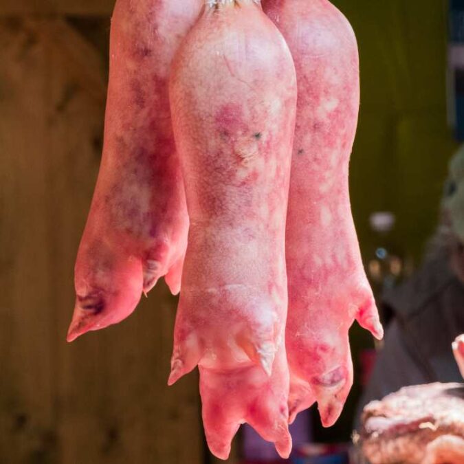 Zampone - Original in der Schweinepfote
