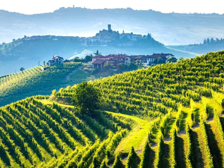 Weinanbau in Italien. Wein bald ohne Alkohol?