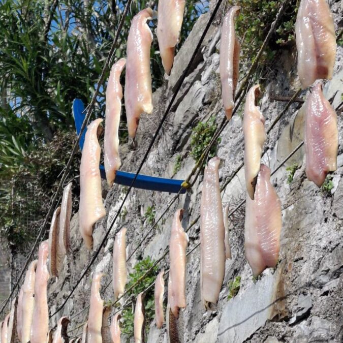 Traditioneller Trockenfisch am Lago die Como