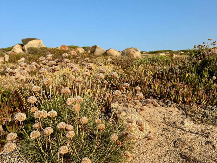 Sardinien - Gallura