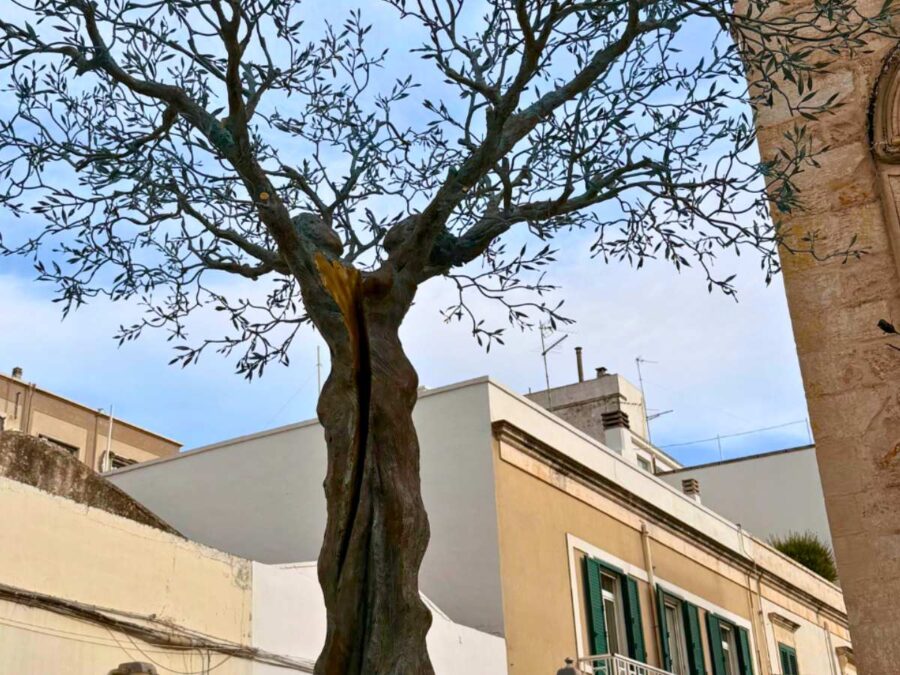 Olivenbaum - Skulptur von Roggi