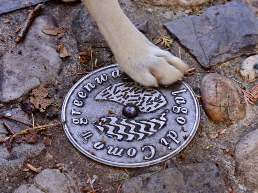 Hunde in Italien - hier am Greenway am Lago die Como